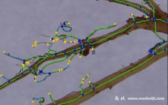 GXY-A根系分析系统